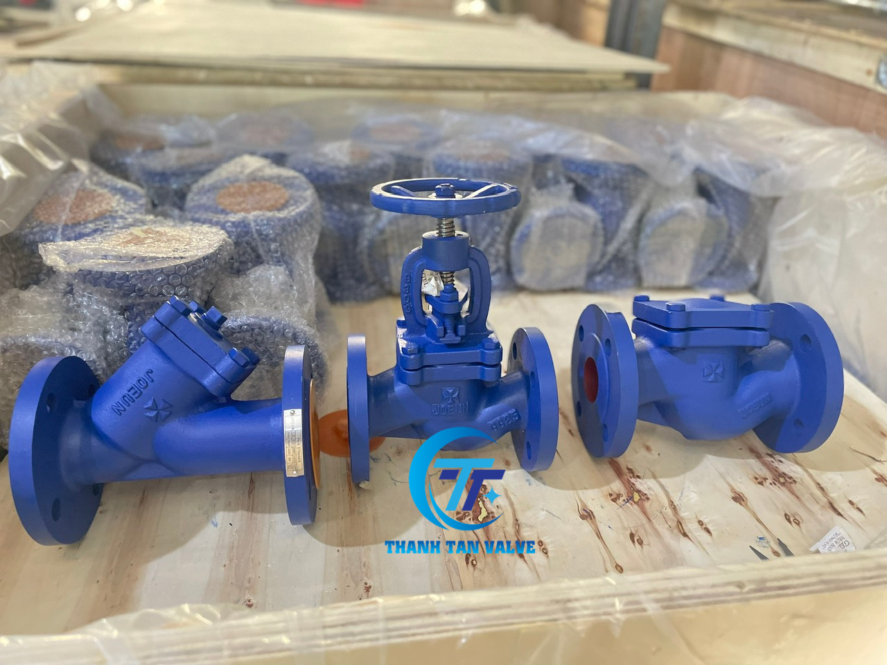 Y lọc, van cầu, van 1 chiều hơi gang PN16 Joeun