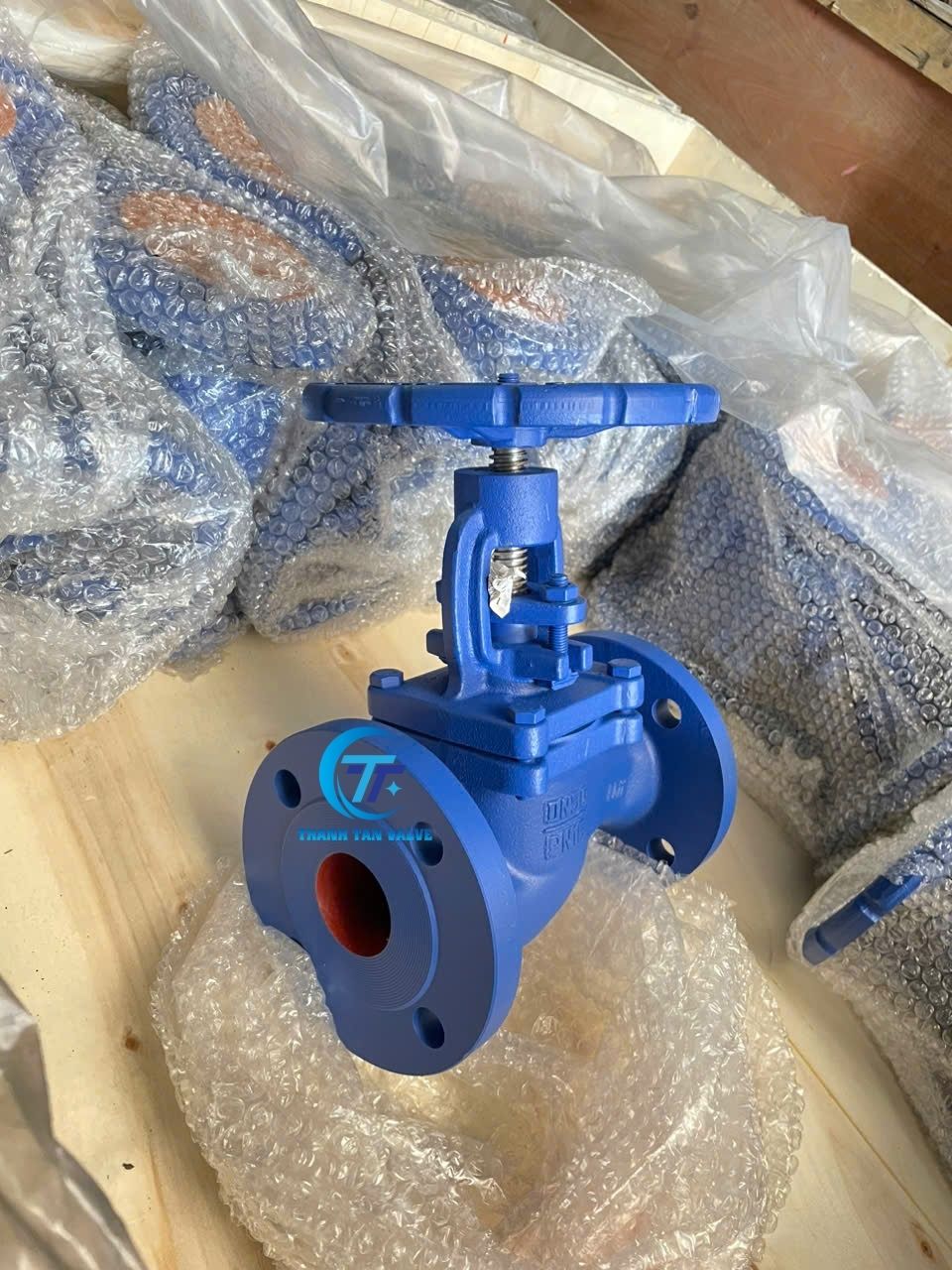 Van cầu gang PN16 DN50 Joeun